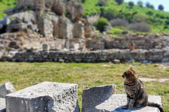 All Inclusive Private Half-Day Ephesus and Sirince Village Tour with Lunch - Guides Make It: The Difference Between a Tour and a Story