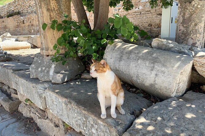 Customize Your Ephesus Trip With Your Guide & Vehicle - Should you book this Ephesus day tour?