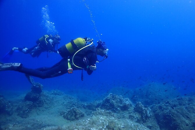 Explore World's Largest Plane Wreck by Scuba Diving in Kusadasi - Booking tips and weather reality (so you don’t get surprised)