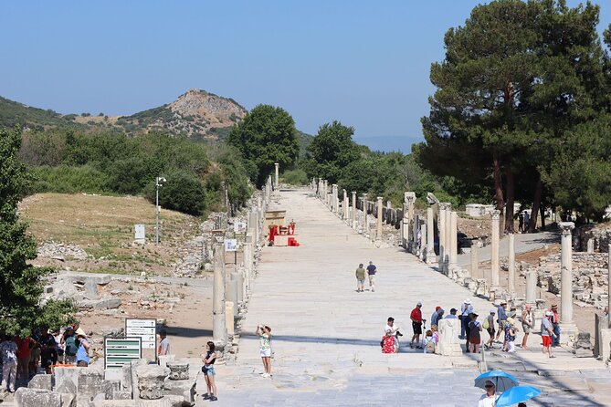 FOR CRUISERS: Highlights of Ephesus Private Tour (GUARANTEED ON-TIME RETURN) - How the private setup feels in real life