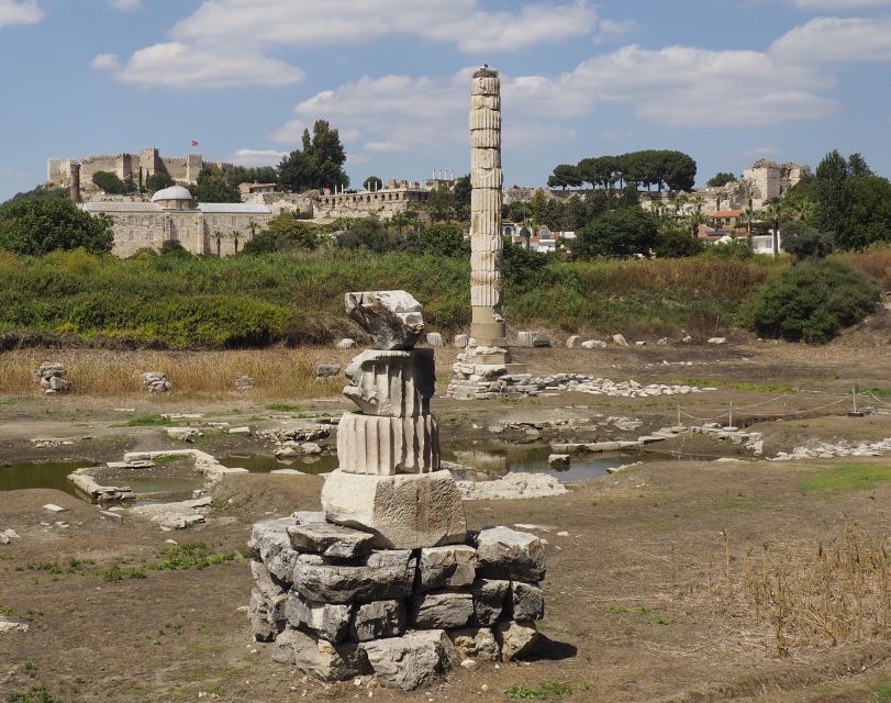 From Kusadasi or Selcuk: Full-Day Ephesus Tour with Lunch - Shops, Rugs, and Wine Tastings: What Could Change Your Day