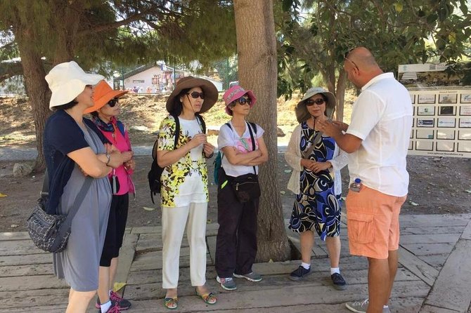 Full Day Ephesus Tour for Cruise Passengers - Pickup in Kusadasi or Selcuk: less hassle, more time