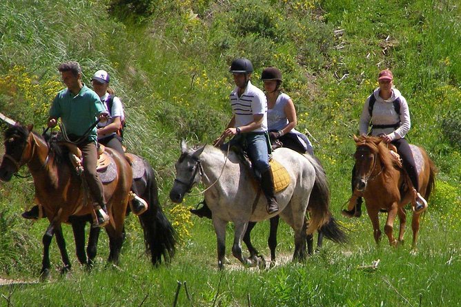 Horse Riding From Kusadasi Port / Hotels - Timing matters: morning versus afternoon starts