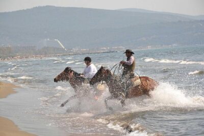 Horse Riding From Kusadasi Port / Hotels - Small group riding: why max 10 people is a real quality upgrade
