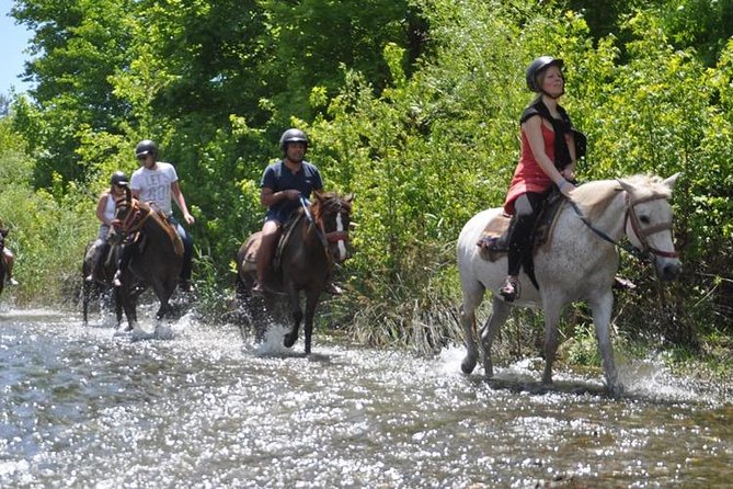 Horse Riding From Kusadasi Port / Hotels - Step-by-step at Pamucak Beach: what the ride feels like