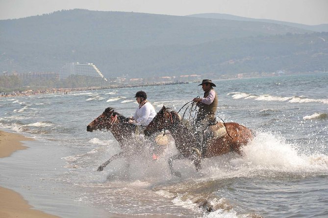 Horse Riding From Kusadasi Port / Hotels - Small group riding: why max 10 people is a real quality upgrade