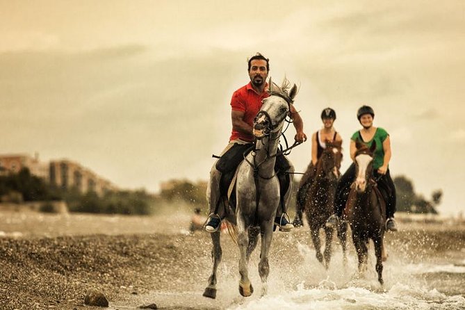 Horseback Riding From Kusadasi Port For Cruise Guests - Kuşadası Port logistics: finding your name and staying on the clock