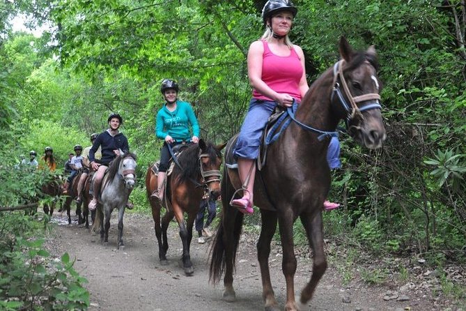 Horseback Riding From Kusadasi Port For Cruise Guests - Included value: why the $88.92 can make sense