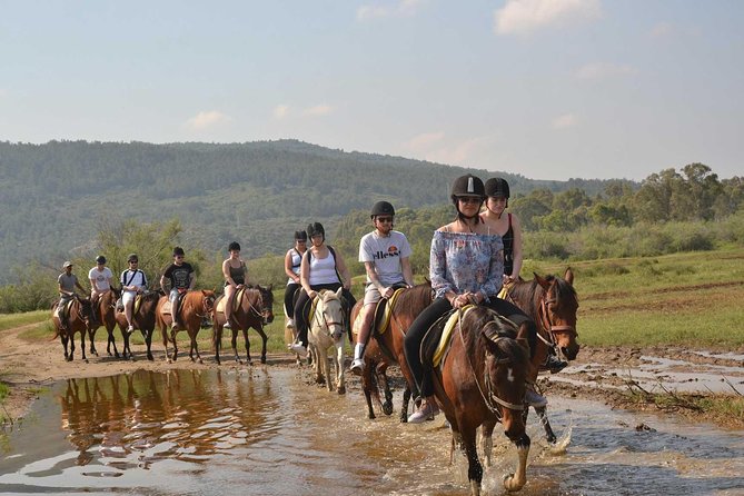 Horseback Riding From Kusadasi Port For Cruise Guests - Who should book this Kusadasi horseback ride (and who should skip it)
