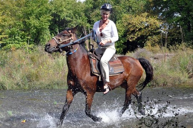 Horseback Riding From Kusadasi Port For Cruise Guests - Pamucak Beach safari: what the guided ride feels like