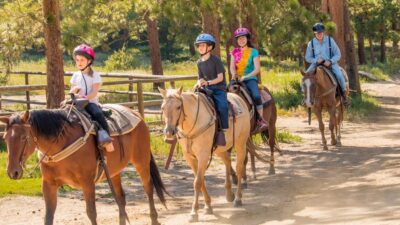 Kusadasi: Horse Riding Beach and Forest w/Transfer - Your 1.5-hour horse safari: pine forests, orange groves, and village life