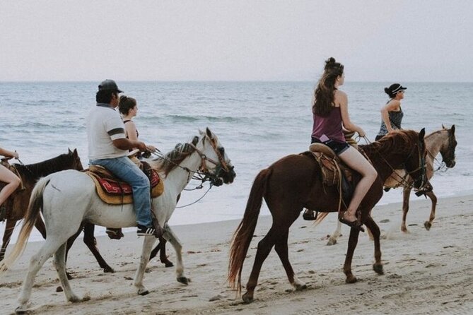 Kusadasi Horse Riding On Beach And Through The River - Key points before you go