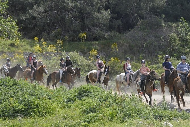 Kusadasi Horse Riding On Beach And Through The River - The ranch briefing: riding without experience is the whole point