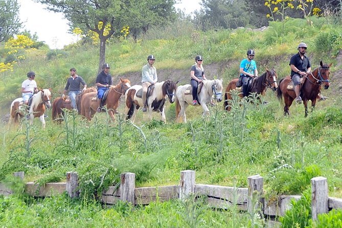 Kusadasi Horse Riding On Beach And Through The River - Riding the river bed and Pamucak beach: expect a mix of trail and sand
