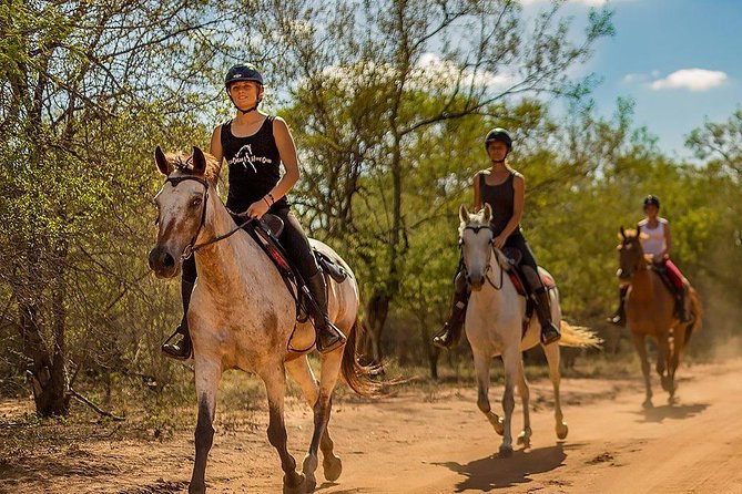 Kusadasi Horseback Riding - Timing Reality: 3 Hours Versus Day-of Schedule
