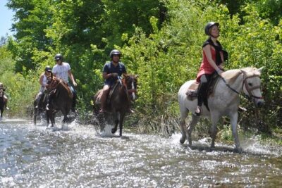Kusadasi Horseback Riding - Horses and Guides: Safety, Handling, and What to Look For