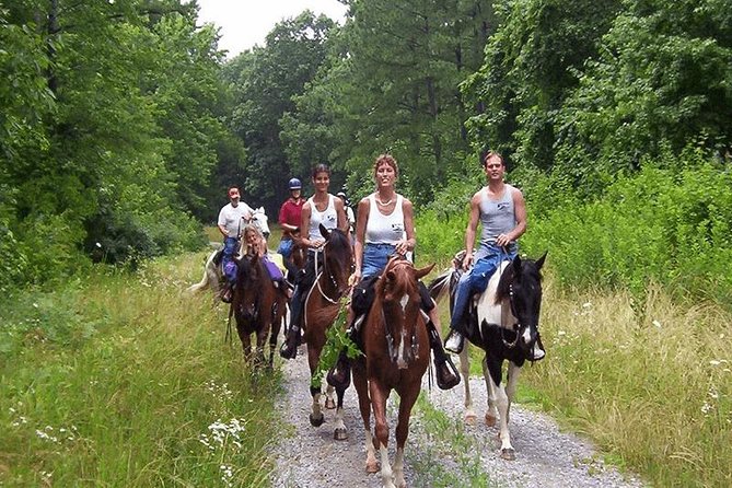 Kusadasi Horseback Riding - What to Bring (So Your Beach Ride Doesn’t Hurt)