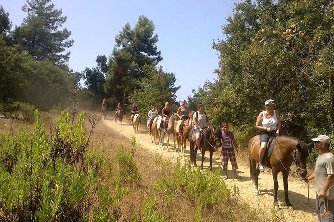 Kusadasi Horseback Riding - Best Fit: Who Should Choose This Tour?