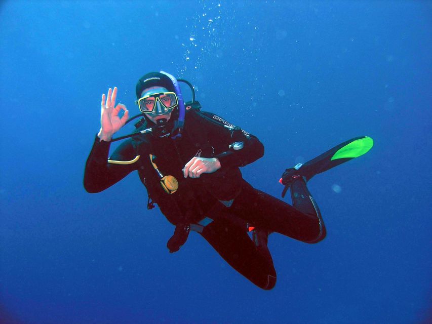 Kusadasi: Scuba Diving for Beginner or Experienced w/ Lunch - Kuşadası Scuba in 7 Hours: What This Day at Sea Delivers