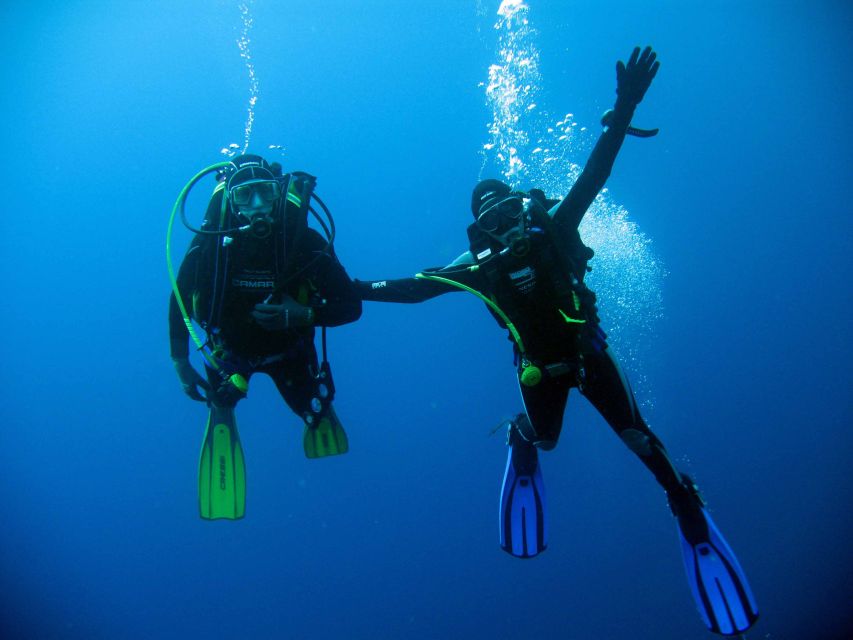 Kusadasi: Scuba Diving for Beginner or Experienced w/ Lunch - Hotel Pickup and Getting to the Port Without the Taxi Stress