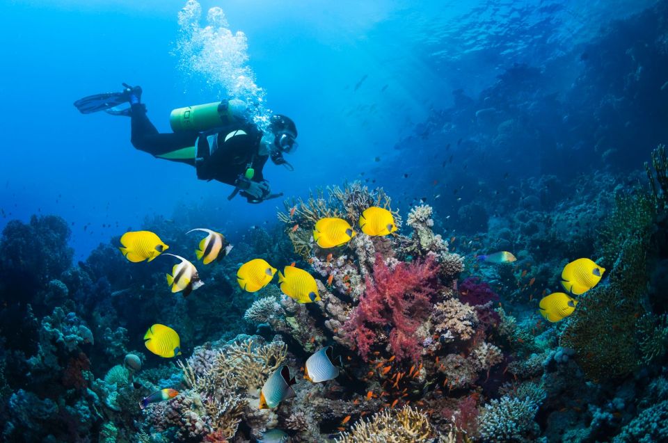 Kusadasi: Scuba Diving for Beginner or Experienced w/ Lunch - What to Bring (and Why Small Things Matter)
