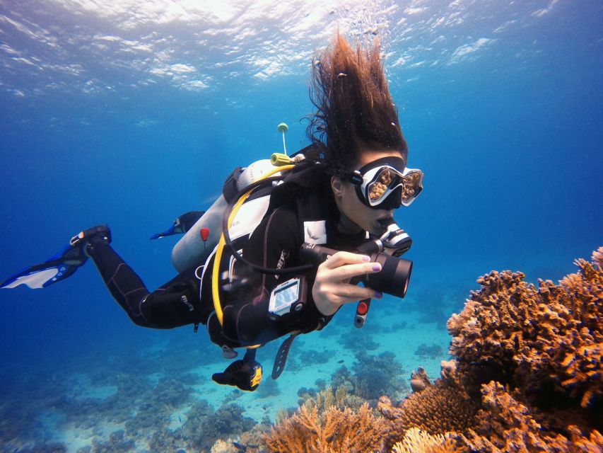 Kusadasi: Scuba Diving for Beginner or Experienced w/ Lunch - Who This Tour Fits Best (and Who Should Skip)