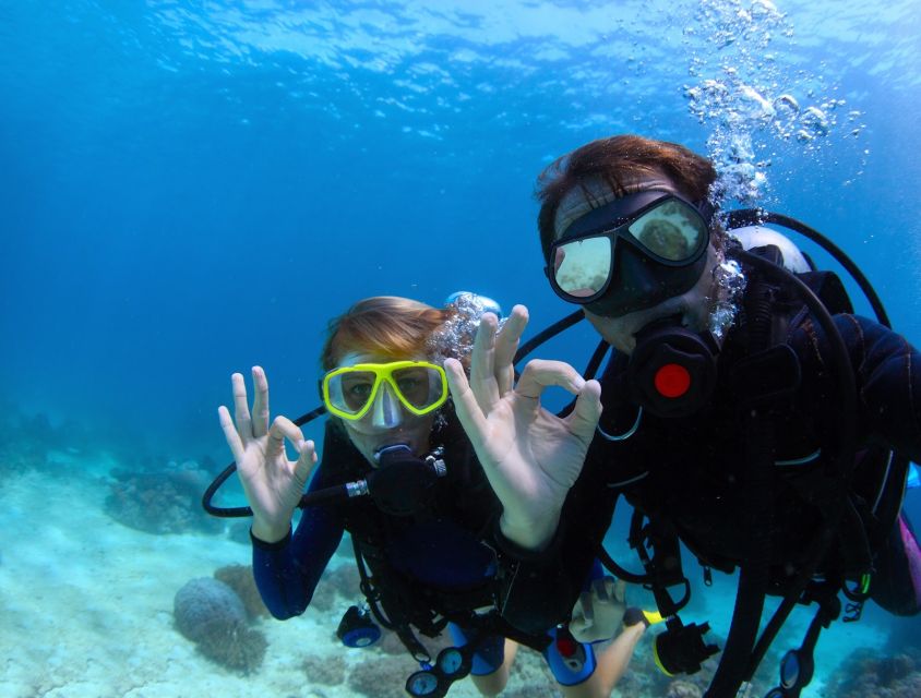 Kusadasi: Scuba Diving for Beginners w/Lunch & Transfer - The boat ride: gear, practice, and calming first-timer nerves