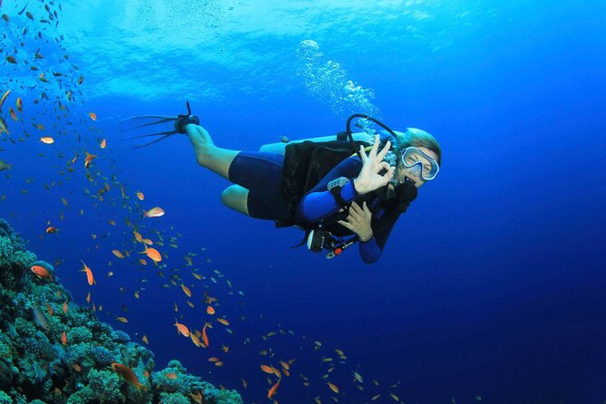 Kusadasi Scuba Diving Tour By Local Experts - Key highlights you’ll care about