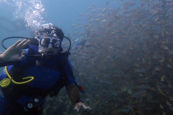 Kusadasi Scuba Diving Tour By Local Experts - Morning Pickup in Kuşadası and the Ride to the Port