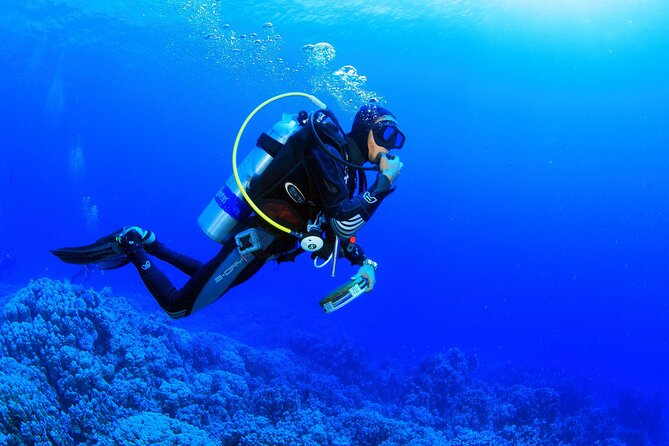 Kusadasi Scuba Diving Tour By Local Experts - Underwater Stop in Kusadası: A 25-Minute Fish-Focused Swim