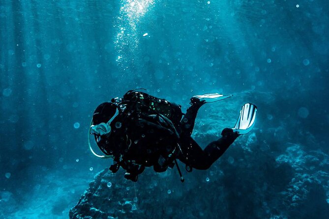 Kusadasi Scuba Diving Tour By Local Experts - Price and Value: Why $40 Feels Fair Here