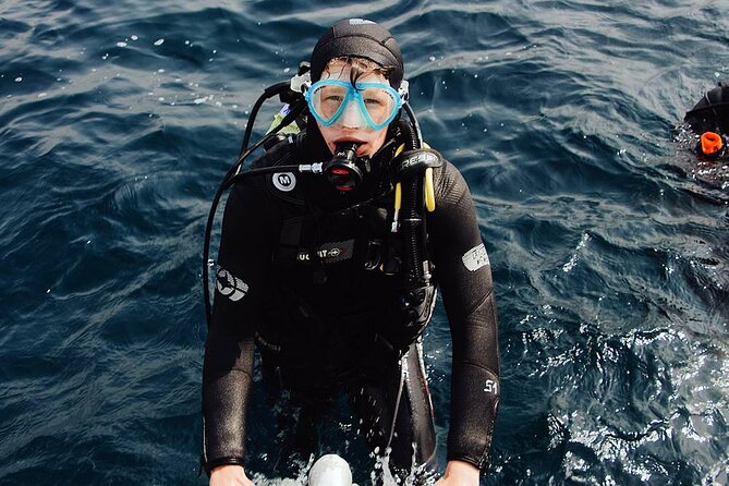 Kusadasi Scuba Diving Tour By Local Experts - Who This Works Best For in Kuşadası