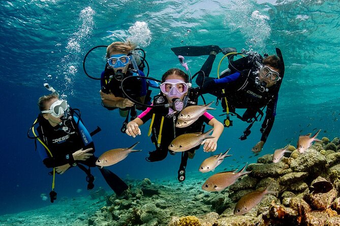 Kusadasi Scuba Diving Tour By Local Experts - Practical Tips Before You Go