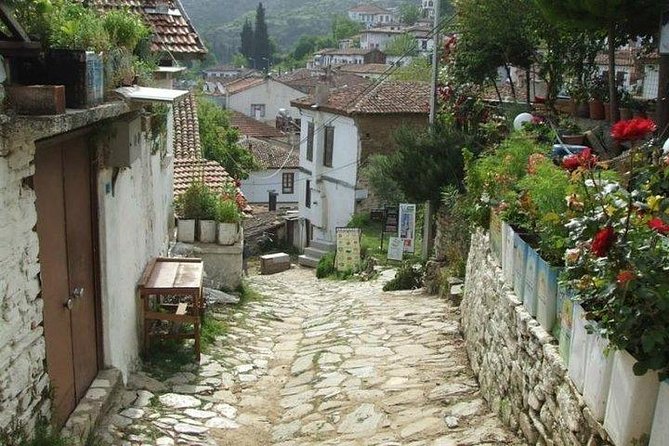 Kusadasi Shore Excursion: Private Full-Day Tour to Ephesus, Didyma and Miletus - How to get the most out of your 7-hour ruins marathon