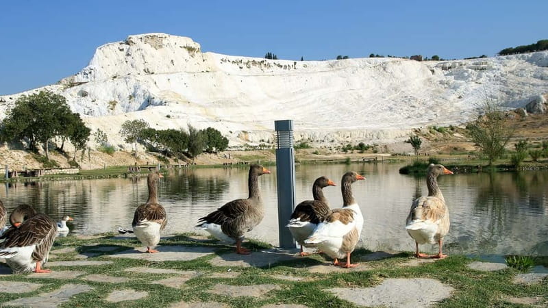 Pamukkale and Hierapolis: Full-Day Private or Group Tour - Lunch and drinks: plan for what’s included and what’s not