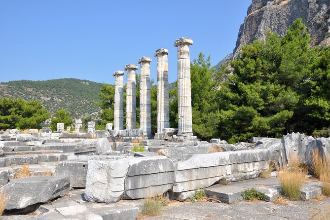 Priene Miletos Didyma (PMD) Tour From Kusadasi Port / Hotels - Lunch, Water, and How to Make the Break Count