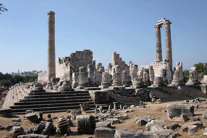 Priene, Miletus, and Didyma Day Tour from Kusadasi - Minibus pace and small-group feel with an art historian