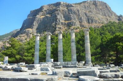 Priene, Miletus, and Didyma Day Tour from Kusadasi - Didyma’s Temple of Apollo and Sacred Way atmosphere