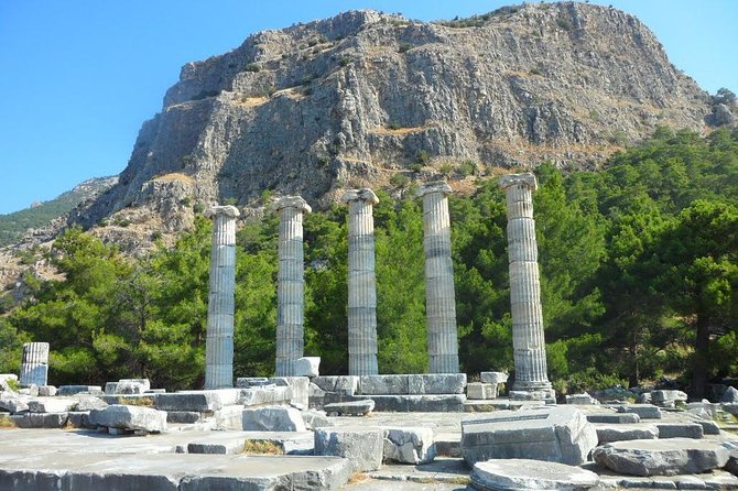 Priene, Miletus, and Didyma Day Tour from Kusadasi - Didyma’s Temple of Apollo and Sacred Way atmosphere