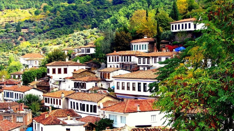 Private Ephesus and Sirince Village Tour Cruiser Only - From Kuşadası Port to Ephesus: Where the Day Starts