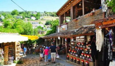 Private Ephesus and Sirince Village Tour Cruiser Only - Ephesus Ruins at Walking Speed: Celsus and the Grand Theatre