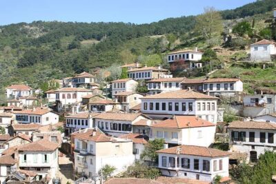 Private Ephesus, Terrace Houses & Sirince Village Tour - Ephesus in About 2 Hours: Artemis, Odeon, and the Roman Street Plan