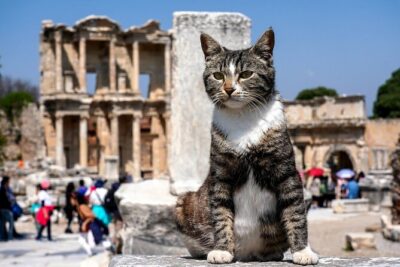 Private Ephesus Tour from Kusadasi - Meryemana (Virgin Mary’s House): pilgrimage meets a simple visit