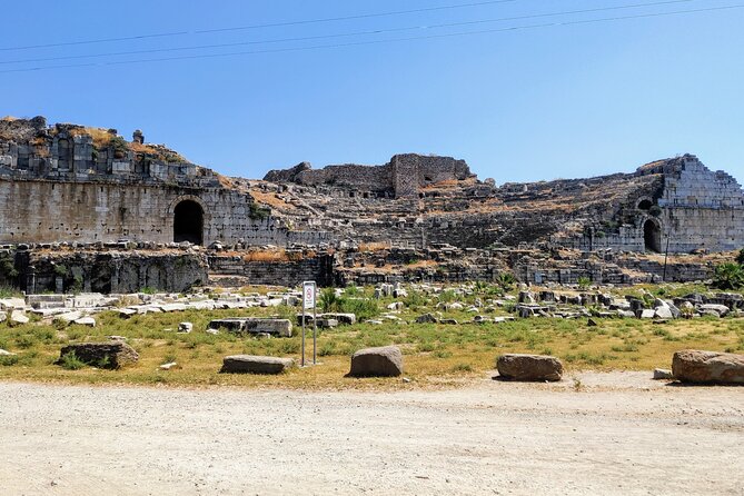 Private Full-Day Ephesus Tour with Miletus and Didyma for Cruise Guests - Quick hits you’ll care about