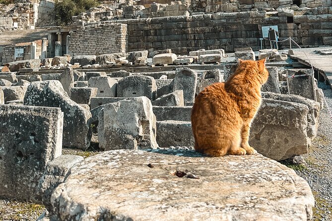 Private Half Day Ephesus Shore Excursion from Kusadasi - Port-to-ruins setup: the part that makes a shore day work