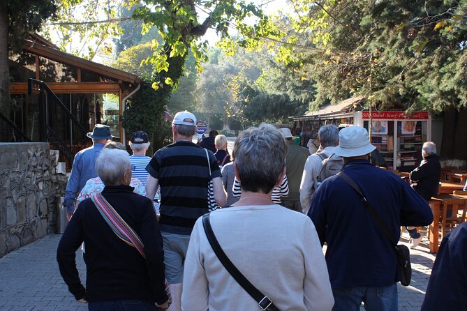 Private PANORAMIC Ephesus & Surroundings - Kuşadası Port pickup that saves your cruise day
