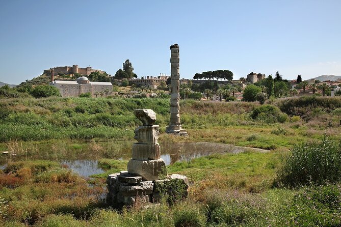 Private Tour: Best of Ephesus for Cruise Passengers. - Terrace Houses Optional Add-On: How to Decide