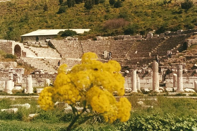 Quick-Ephesus Private Tour - A private Ephesus walk from Selçuk that fits real schedules