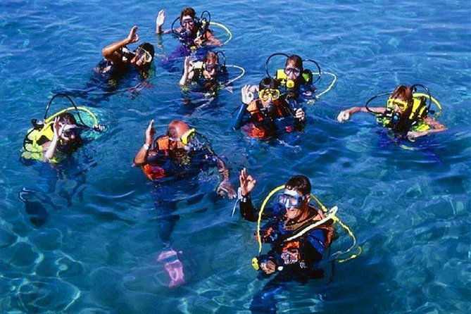 Scuba Diving Tour From Kusadasi / Selcuk - The Short Certified Lesson: How They Set You Up as a Beginner