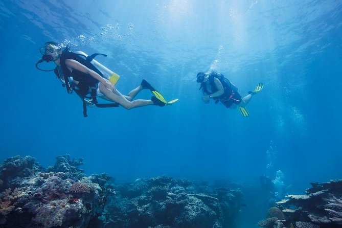 Scuba Diving Tour From Kusadasi / Selcuk - Snorkel, Sunbathe, and the Boat Hours You’ll Actually Enjoy